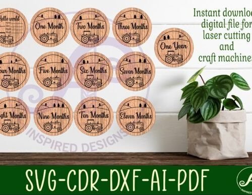 discos-de-hitos-mensuales-para-bebes-creativo-digital Discos De Hitos Mensuales Para Bebes Creativo Digital